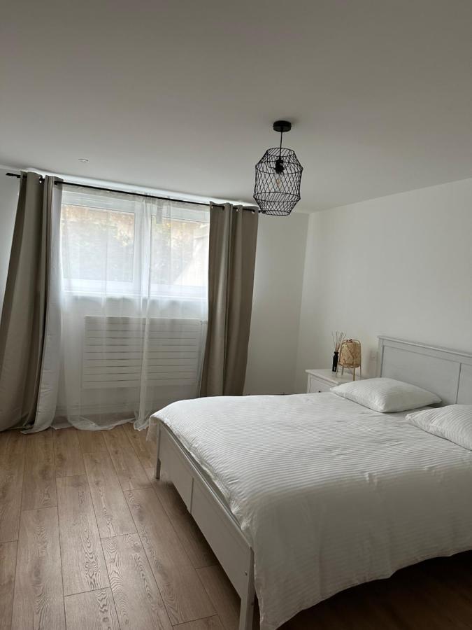 Joli Appartement Dans Une Maison Remise A Neuf Mittelhausbergen Екстериор снимка